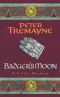 [Sister Fidelma 13] • Badger's Moon